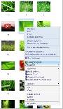 Morz Image Converter