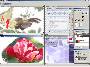 Photopainter