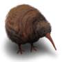 jKiwi