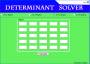 Determinant Solver