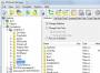 Attribute Manager