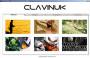 Clavinuk