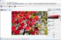 ImageProc