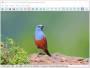 Easy Photo Studio FREE