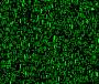 Infected Screen Saver