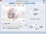 SWF to Video Converter