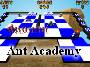 Ant Academy